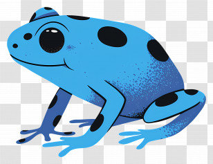 Poison Dart Frog - Blue Spotted Frog Illustration Transparent PNG