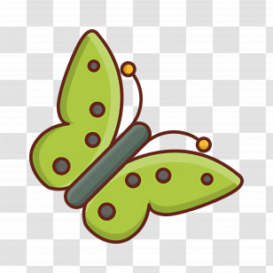 Flying Butterfly - Green Butterfly Illustration Transparent PNG