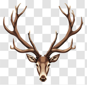 Antler - Majestic Deer Head With Large Antlers Transparent PNG