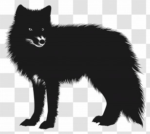 Arctic Fox Silhouette - Black Wolf Silhouette Illustration Transparent PNG