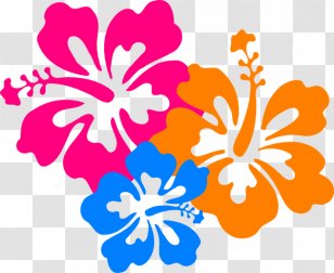 hawaiian flower png images transparent hawaiian flower images hawaiian flower png images transparent