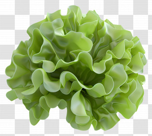Lettuce - Fresh Green Lettuce Leaves Transparent PNG