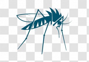 Mosquito Insect Vector Bed Bug - Pattern Transparent PNG