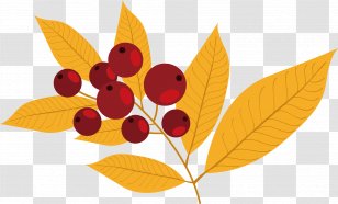 Frutti Di Bosco Auglis Autumn - Berry - Vector Hand-painted Leaves With Berries Transparent PNG