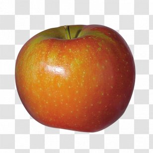 McIntosh Red Organic Food Ariane Nectar Apple - Fuji Transparent PNG