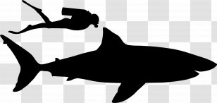 Shark Clip Art Fauna Silhouette Marine Mammal - Dolphin Transparent PNG