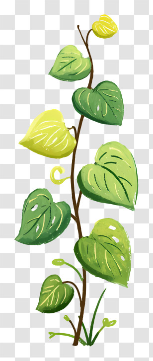 Doodle Leafy Vine - Green Vine Illustration Transparent PNG