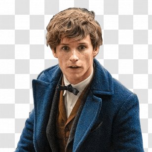 Fantastic Beasts And Where To Find Them Newt Scamander David Yates Albus Dumbledore - Harry Potter Transparent PNG