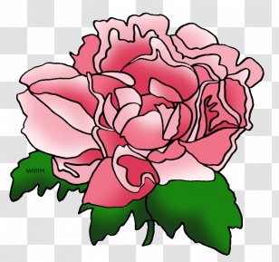 Peony Pink Flowers Indiana Clip Art Transparent PNG