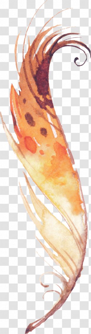 Feather Download - Indigenous Peoples Of The Americas - Hand-painted Feathers Transparent PNG