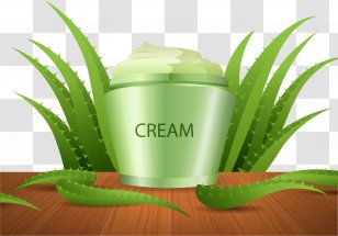 Aloe Vera Cream Agave Skin - Grass - Vector Hand Painted Transparent PNG
