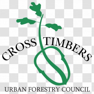 Cross Timbers Urban Forestry Lumber Arboriculture - Flora - Timber Transparent PNG