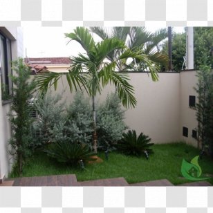 Arecaceae Backyard Property Grasses Shrub - Evergreen - Pousada Das Canoas Transparent PNG