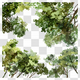 Forest Canopy - Tree Canopy Border Transparent PNG