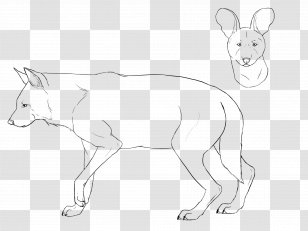 Dog Breed Red Fox Hare Whiskers - Tail Transparent PNG