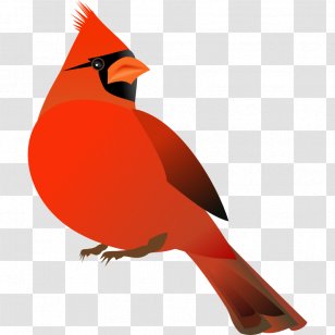 Northern Cardinal Free Content Website Clip Art - Bird - Sad Cliparts Transparent PNG
