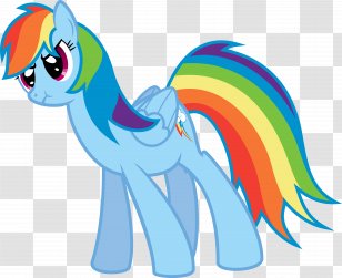 Pony Rainbow Dash Horse Drawing - Mammal Transparent PNG