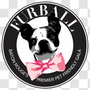 Boston Terrier Hilton Baton Rouge Capitol Center Dog Breed Apartment Pet Transparent PNG