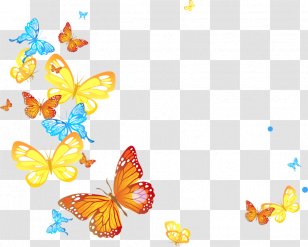 Butterfly Clip Art - Pollinator - Papillon Transparent PNG