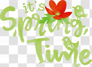 Floral Design Transparent PNG