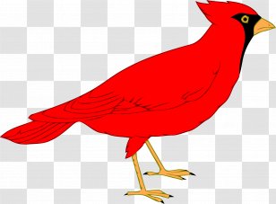 Northern Cardinal Clip Art - St Louis Cardinals - Presentation Transparent PNG