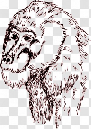 Dog Common Chimpanzee Drawing - Silhouette Transparent PNG