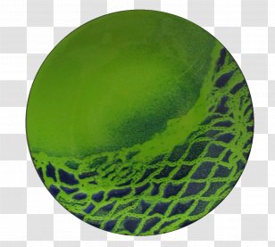 Circle M RV & Camping Resort - Organism - Blue Ring Dish Transparent PNG