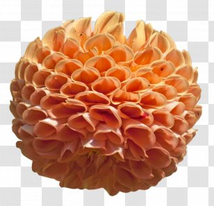Dahlia Petal Transparent PNG