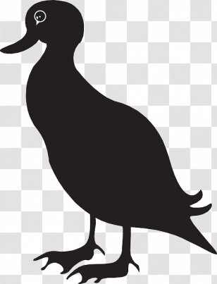 American Black Duck Mallard Pekin Clip Art - Wing Transparent PNG
