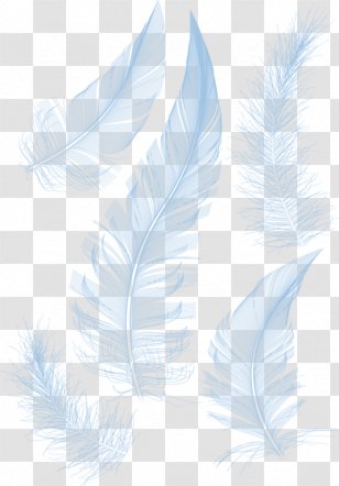 Vector Graphics Feather Drawing Image Clip Art - Quill - Simple Transparent PNG