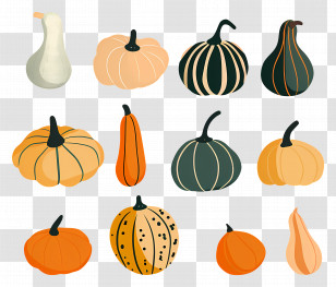 Pumpkins - Variety Of Decorative Gourds For Fall Season Transparent PNG