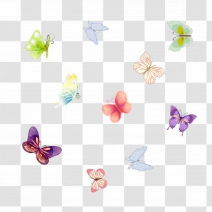 Butterfly - Resource - Colorful Pull Material Free Transparent PNG