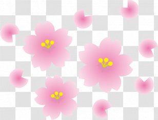 School Matriculation Randoseru Education Illustration Transparent PNG