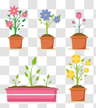Flower Arrangements - Graphic Of Potted Small Plants Transparent PNG