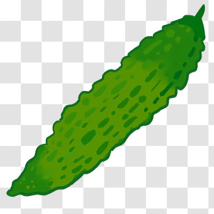 Icon - Green Bitter Melon Vegetable Illustration Transparent PNG