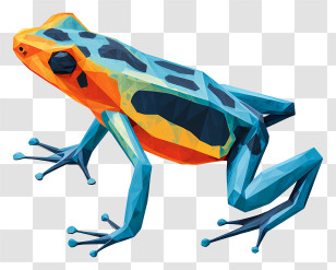 Poison Dart Frog - Geometric Frog In Vibrant Colors Transparent PNG