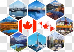 Collage Eton Academy Student Product University - Incredible India Transparent PNG