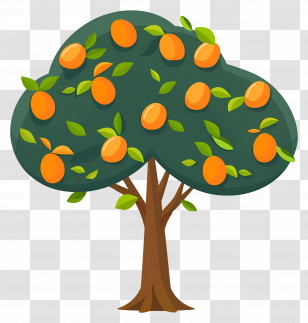Mango Tree - Fruitful Orange Tree Illustration Transparent PNG