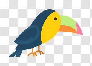 Bird Parrot - Colorful Cartoon Toucan Bird Transparent PNG