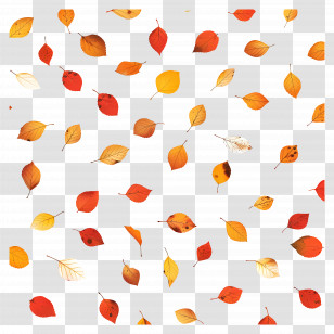 Autumn Background - Falling Autumn Leaves Illustration Transparent PNG