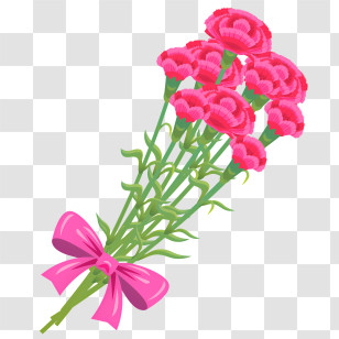 Carnation Flower - Beautiful Pink Carnation Bouquet With Ribbon Transparent PNG