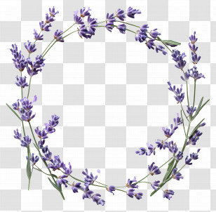 Circle Frame - Lavender Floral Wreath Decoration Transparent PNG