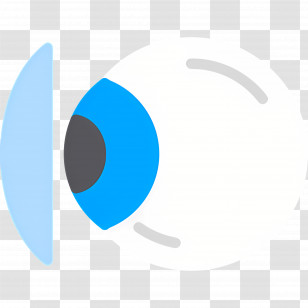 Contact Lens - Contact Lens Diagram For Vision Correction Transparent PNG