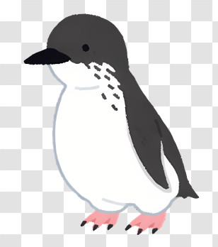 Nature - Cartoon Standing Penguin Illustration Transparent PNG