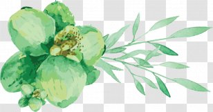 Watercolor Painting Engadine Leaf Vegetable Cut Flowers - Flowering Plant - Greenery Transparent PNG