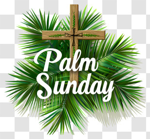 Palm Sunday - Palm Sunday Celebration With Cross And Palm Leaves Transparent PNG