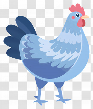 Hen - Blue Chicken Illustration With Red Comb Transparent PNG