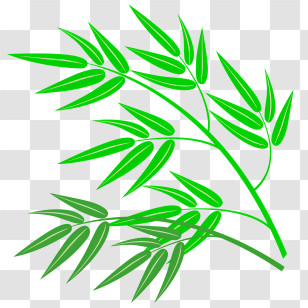 Icon - Green Bamboo Leaves Illustration Transparent PNG