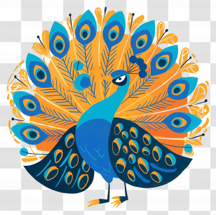 Cartoon Peacock - Vivid Peacock Illustration With Colorful Tail Feathers Transparent PNG