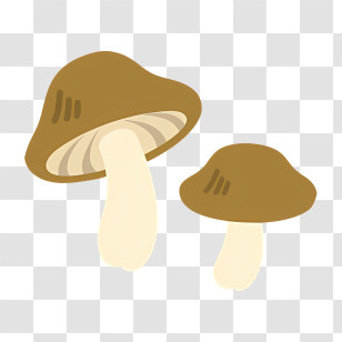 Mushrooms - Illustrated Brown Mushrooms With Cream Stems Transparent PNG